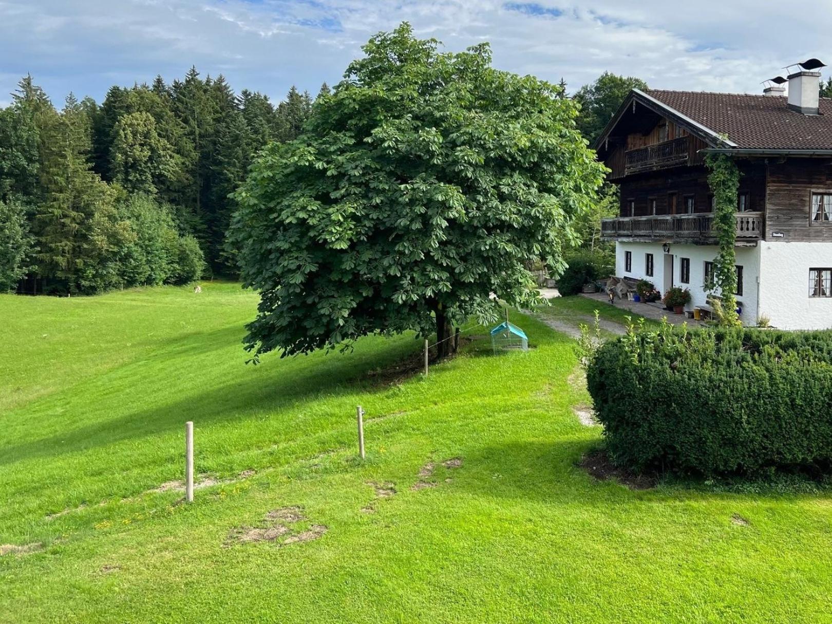 Fewo Staudinger Irschenberg Extérieur photo